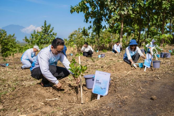 
					Pelita Air Bersama Pertamina Tanam 10 Ribu Pohon