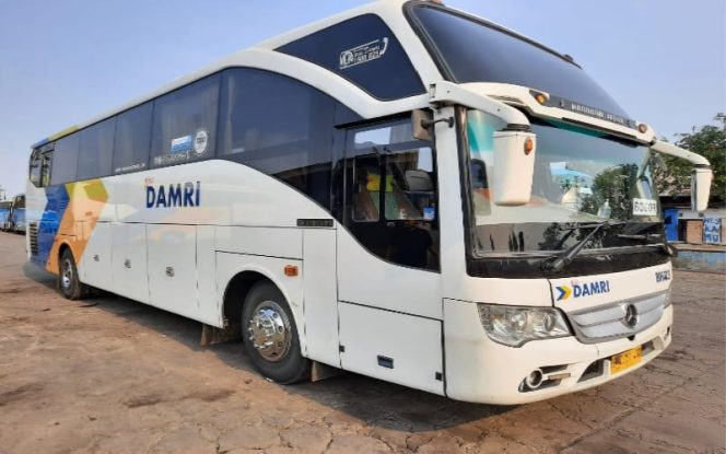 
					Bus Damri by web