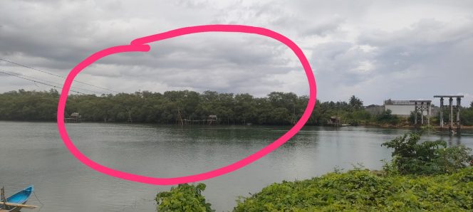 
					Kabel Listrik Melintang di Atas Sungai Nusawiru Pangandaran, Ganggu Aktivitas Nelayan