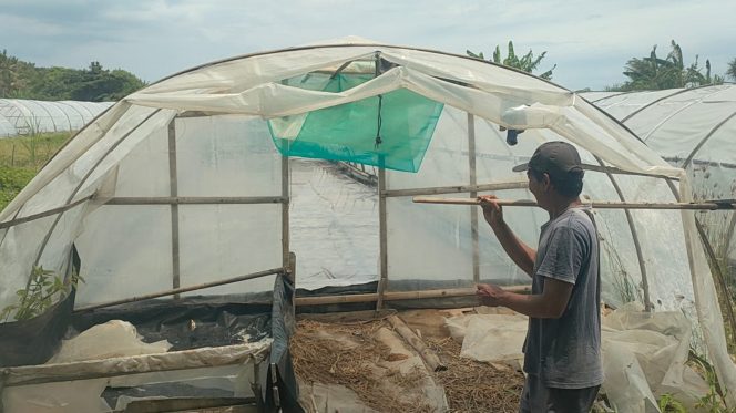 
					Melihat Tambak Garam di Cimerak Pangandaran yang Masih Bertahan