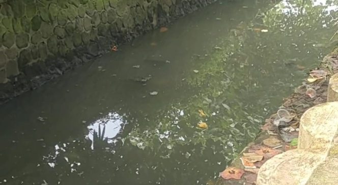 
					Kotori Pantai Pangandaran, DPR RI Komisi XII Soroti Limbah Hotel Restoran