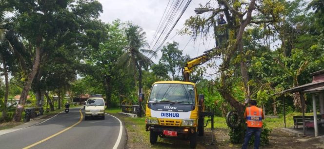 
					Antisipasi Kecelakaan, Dishub Pangandaran Percepat Perbaikan PJU di Jalur Nasional