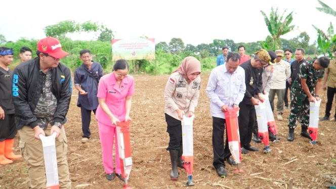 
					Ketahanan Pangan, Polres Banjar Tanam Jagung Secara Serentak