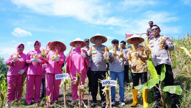 
					Jadi Percontohan Nasional, Polda Jabar Sukses Tanam Ribuan Hektare Jagung