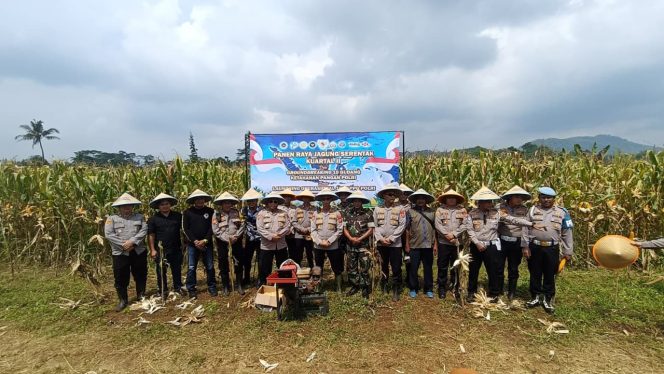 
					Bersama Petani, Polres Banjar Panen Jagung Serentak, Dukung Swasembada Pangan Nasional