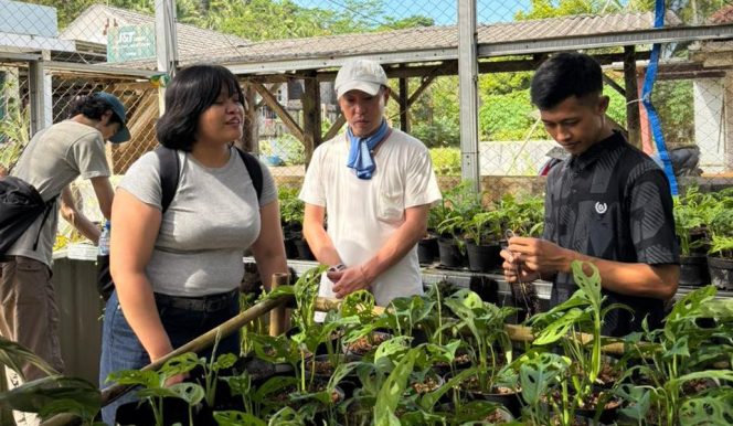 
					Sosok Yahya di Cimerak Pangandaran Sukses Usaha Tanaman Hias, Kini Tembus Pasar Jepang