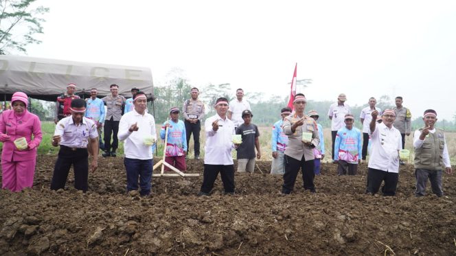 
					Perkuat Swasembada Pangan Nasional, Polres Banjar Gerakkan Petani Tanam 200 Kg Bawang Putih