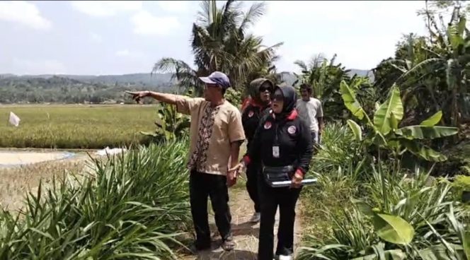 
					JPKP Perjuangkan Solusi Banjir dan Nasib Petani di Pangandaran
